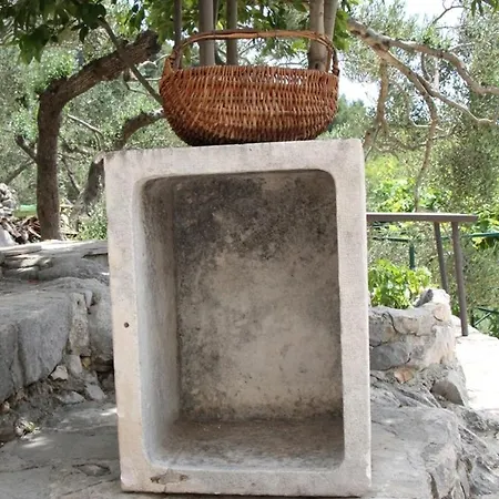 Sweet Shelter With Jacuzzi 別荘