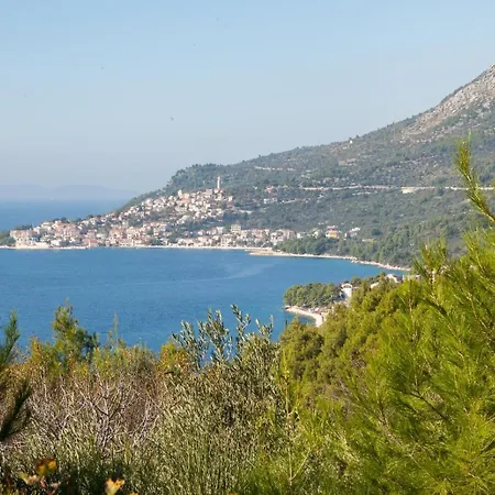 Sweet Shelter With Jacuzzi 別荘