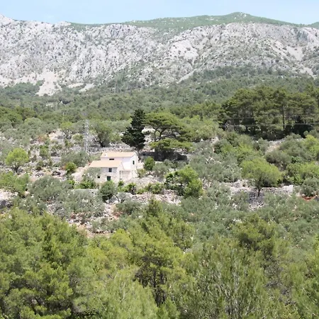 別荘 Sweet Shelter With Jacuzzi *