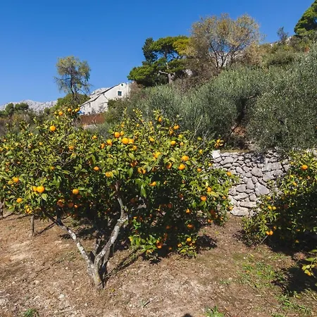 別荘 Sweet Shelter With Jacuzzi Živogošće